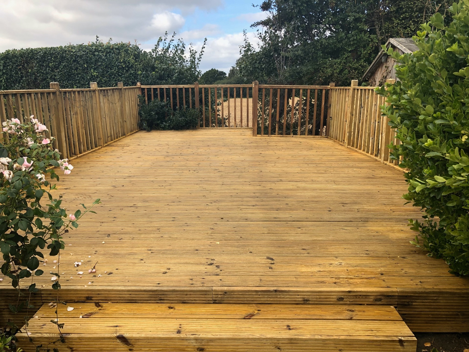 Decking Cleaning After